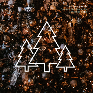 Oh Christmas tree, how lovely are thy branches? Our top 5 Christmas trees.