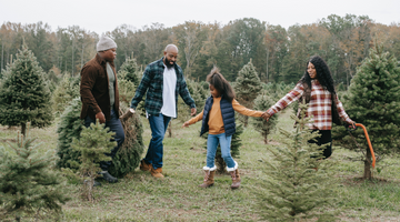 Choosing the Perfect Christmas Tree: A Comprehensive Guide
