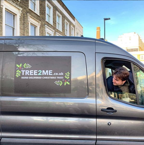 January Christmas Tree Removal & Collection Service