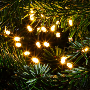 Christmas Tree Lights